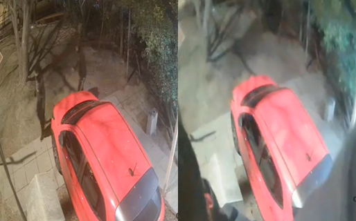 Inseguridad en LU4: delincuentes robaron cinco cámaras de seguridad