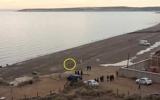 Hallaron el cuerpo de una mujer en la playa de Puerto Madryn