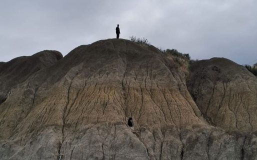 Bomberos intentan rescatar a un perrito atrapado en un cerro junto a Ruta N°3