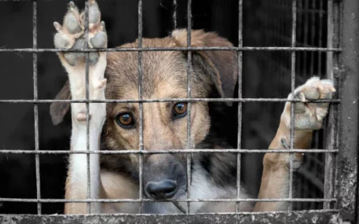 Un grito colectivo contra el abandono: convocan a un abrazo solidario al Dispensario Municipal de Comodoro
