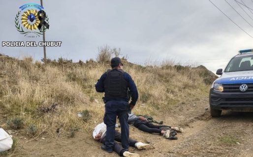 Fueron sorprendidos robando cables y terminaron detenidos