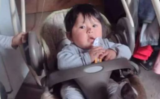 Encontraron muerto a un nene de dos años que se había perdido mientras jugaba en un campo