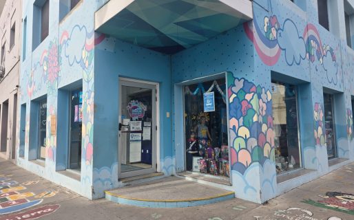 Una juguetería sufrió un robo y advierten: “Hace días que no vemos policías en la zona”