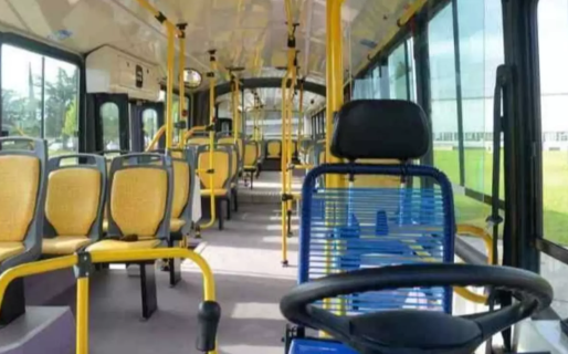 Chubut elimina el cupo para personas con discapacidad en el transporte público: acceso libre y sin restricciones