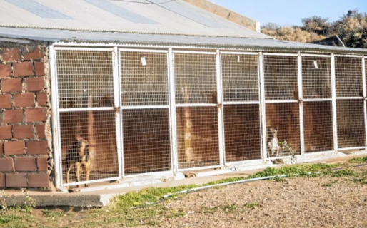 Realizarán un abrazo simbólico en el dispensario canino para visibilizar el estado de los animales
