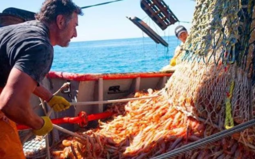 Alerta entre las organizaciones ambientales: la Argentina está última en el ranking de transparencia pesquera