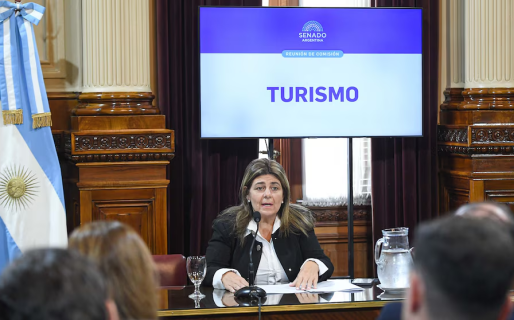 Senado: impulsan un proyecto que inhabilite en cargos públicos a candidatos testimoniales