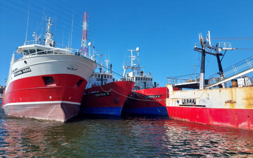 La flota congeladora le puso fin a la temporada y no saldrá hasta 2026