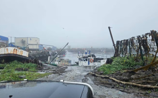Alerta de tsunami en el Pacífico tras un sismo de 8,8 en Rusia: evacúan zonas de EE.UU., Chile, Perú y Ecuador