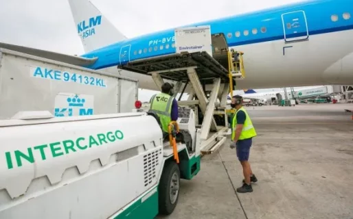 Despiden a dos empleados por maltratar equipaje en Aeroparque