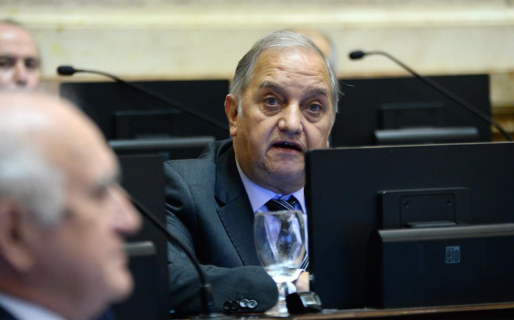 “La herramienta del Presidente es el veto y la del Senado, el juicio político”