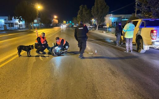 Cruzó por el medio de la Ruta 3 y lo atropellaron