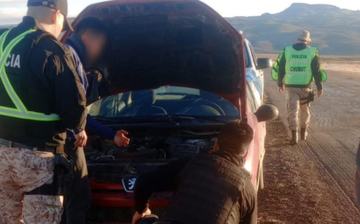 Transportaban un ñandú en el asiento trasero de su auto y fueron descubiertos