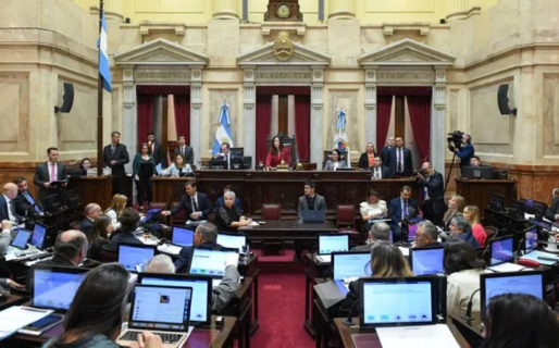 Por unanimidad, el Senado convirtió en ley la declaración de emergencia por discapacidad