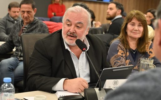 Zárate alertó en Diputados sobre el desmantelamiento del sistema científico nacional y su impacto en las provincias