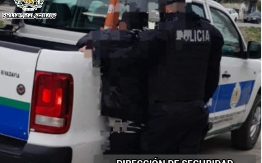 Fingió ser cliente en una farmacia y robó un estuche valuado en 18 mil pesos