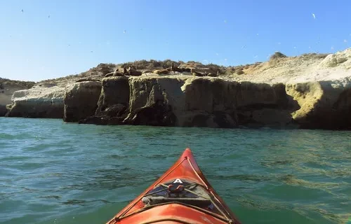 Dictaron prisión preventiva para la madre de una menor víctima de abuso en Puerto Madryn