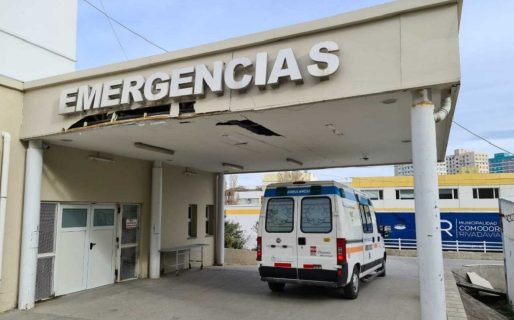 Un conductor atropelló a un perro y dejó a su dueño hospitalizado con fractura de cráneo