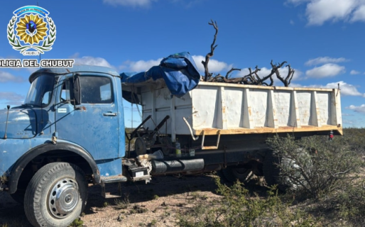 Intentaron llevarse 800 kilos de leña de un área protegida y fueron detenidos