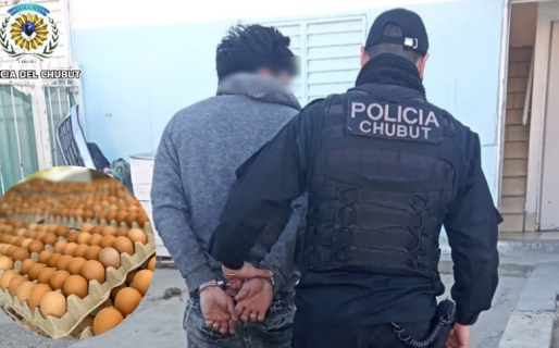 Detenido por robar dos cajas de huevos de una feria: tenían un valor de 70 mil pesos