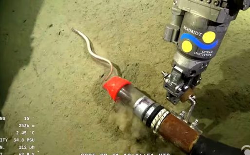 Termina la misión del Conicet en el fondo del Mar Argentino: cuál fue el pedido que hicieron los científicos