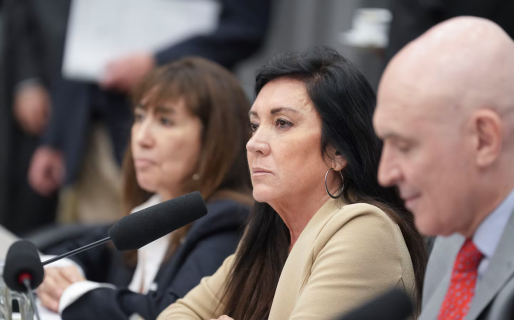 Baja de la edad de imputabilidad a los 14 años: el proyecto tiene dictamen, pero el Congreso no lo trata