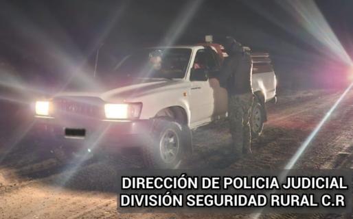 Lo agarraron con un potrillo despostado en la camioneta