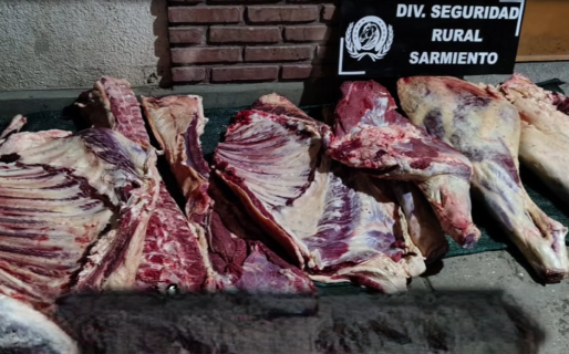 Secuestraron carne de vaca y la entregarán a animalistas para alimentar perros abandonados
