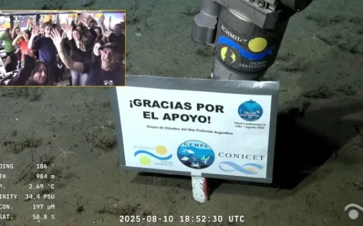 “Fue un trabajo colectivo”: la emoción de los científicos del Conicet tras el final del streaming