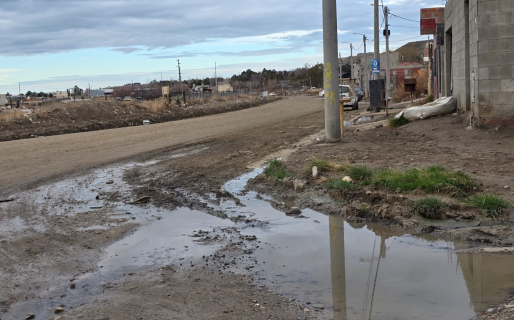 Crecen las problemáticas en Fracción 14 y 15 por perros sueltos y efluentes en las calles