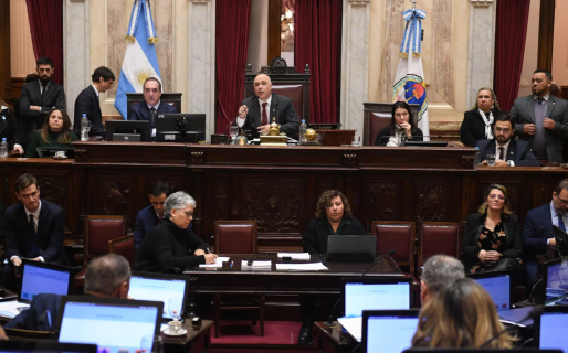 Financiamientos a las universidades y al Hospital Garrahan: la oposición en el Senado buscará dictaminar hoy