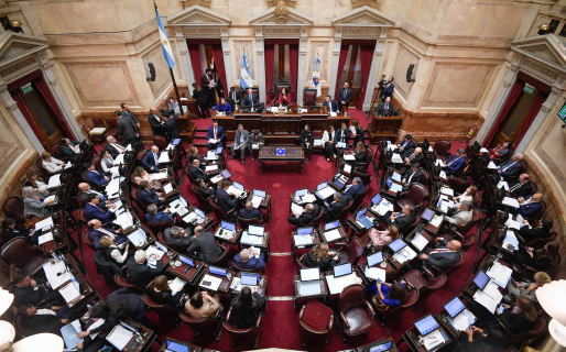 Senado: la oposición buscará convertir en ley el financiamiento universitario y al Garrahan