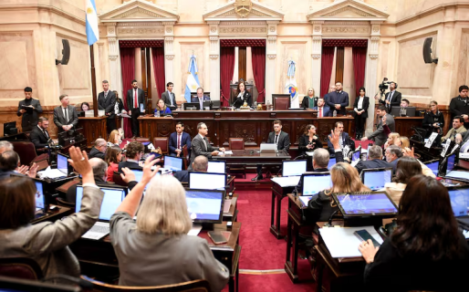 El Senado convirtió en ley el financiamiento universitario y los aumentos para el Hospital Garrahan