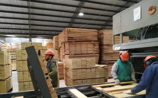 La economía creció 6,4% en junio en comparación con el año anterior, pero cayó 0,7% en relación a mayo