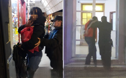 Una mujer distrajo a una feriante para que su novio le robe el celular