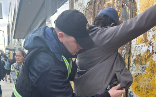 Se robó un peluche, un chupete y un autito a pocas horas del Día del Niño