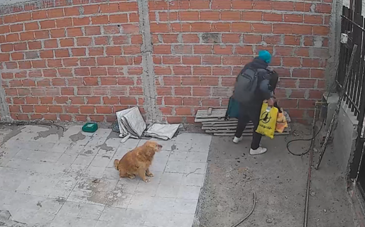 Vecinos vieron que robaban una casa, avisaron a la dueña y golpearon al delincuente