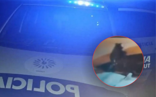 Dos robos en el mismo lugar y con un día de diferencia: uno incluyó un violento asalto a un menor