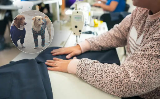 “Abrigando Patitas”: Se realizará un taller gratuito para aprender a crear ropa para animales
