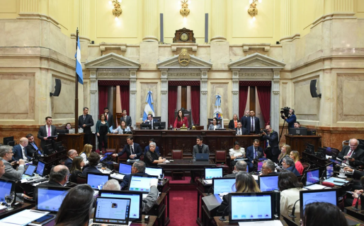 El Senado convirtió en ley el Financiamiento Universitario y continúa debatiendo aumentos para el Garrahan