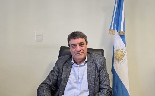 En Comodoro ya se registran más de 70 casos de maltrato animal 