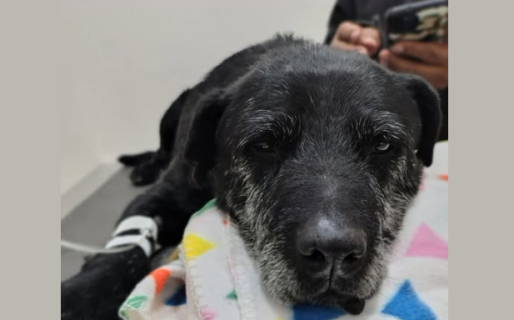 Paco necesita ayuda con una medicación muy costosa