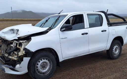 Un conductor chocó contra un guanaco en Ruta 3