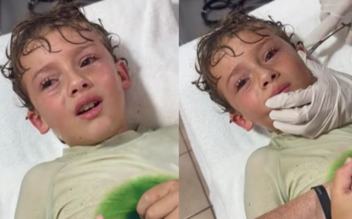 Se le metió un cangrejo en el oído a un nene y tuvieron que sacárselo con pinzas