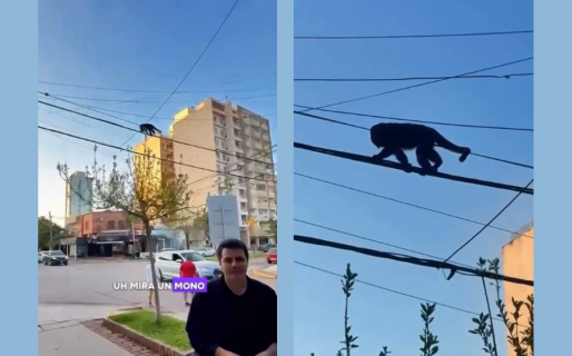 “Cosas que pasan en Chaco”: el blooper que se volvió viral y desarmó estereotipos con humor