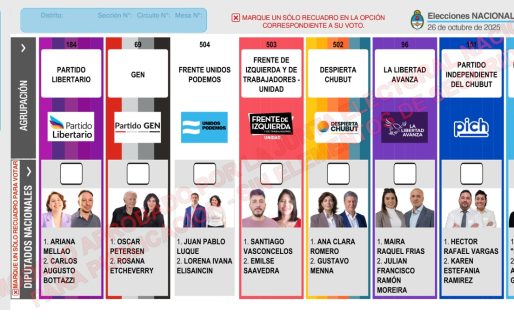 Se oficializó la Boleta Única de Papel para diputados nacionales en Chubut