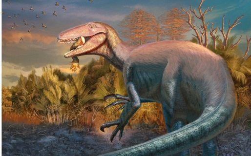 Descubrieron una nueva especie de dinosaurio carnívoro en la provincia de Chubut
