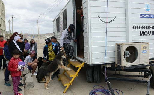 Vecinos reclaman «más castraciones y un mejor sistema de turnos»