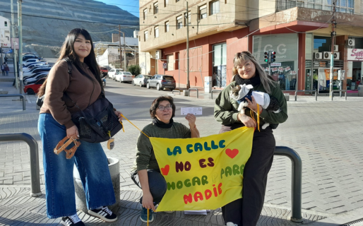 Este sábado se realiza una nueva jornada de adopción de animales callejeros