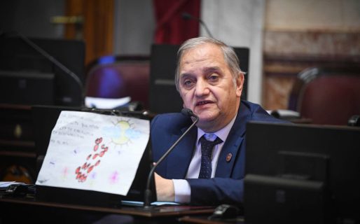 Linares: “Veo un panorama muy triste para adelante”